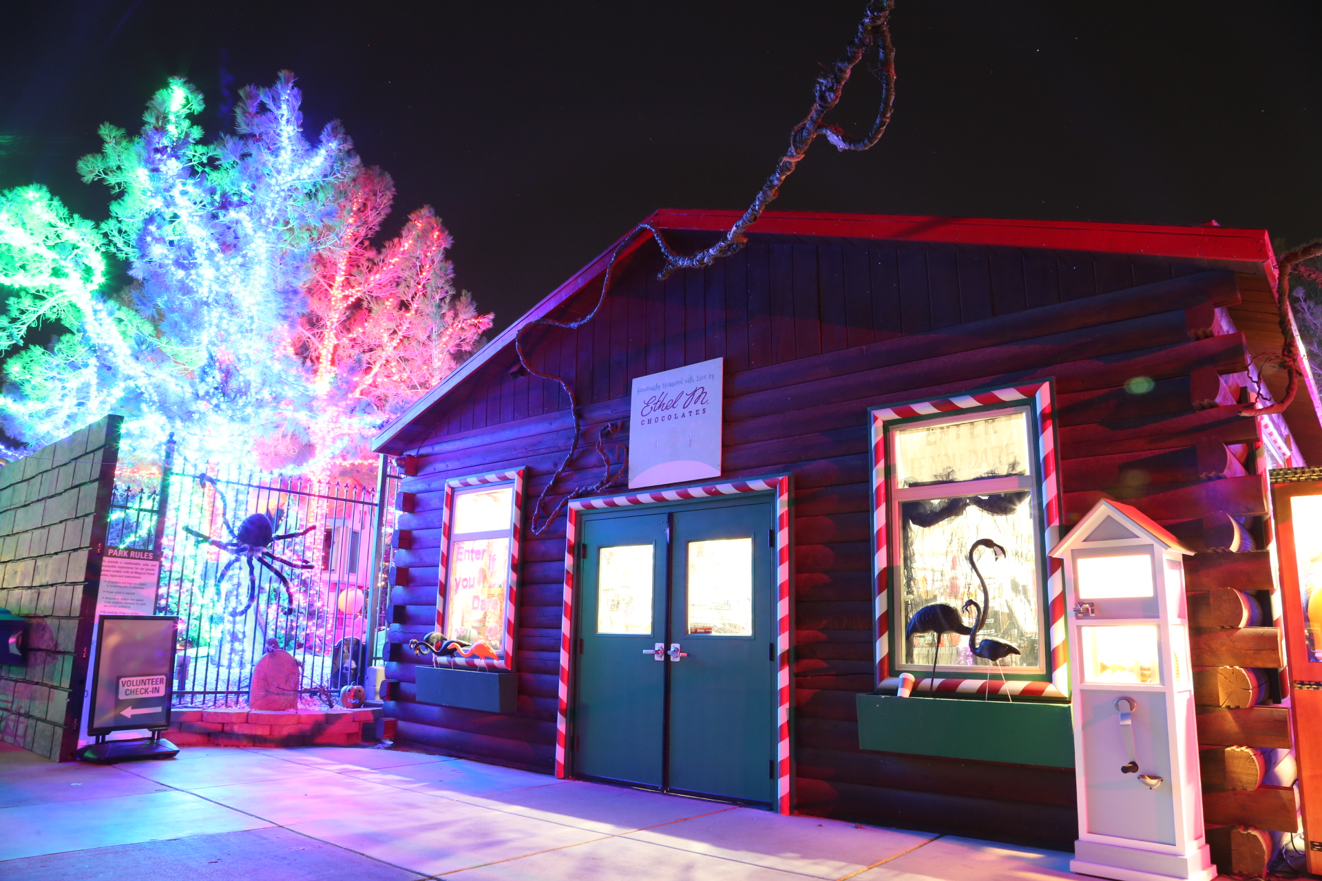 Join Us For Endless Holiday Cheer At The Magical Forest