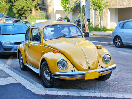 Yellow Volskwagen Beetle parked on a street.