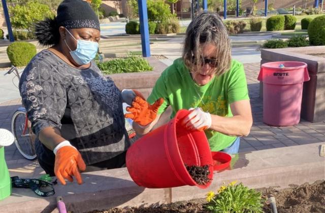 Two women planting in a raised flower bed, one holding a red bucket with dirt.