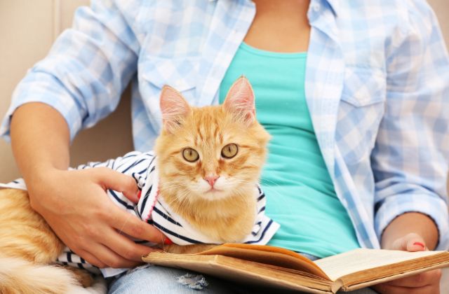 Orange cat sitting on a person's lap as they read a book.