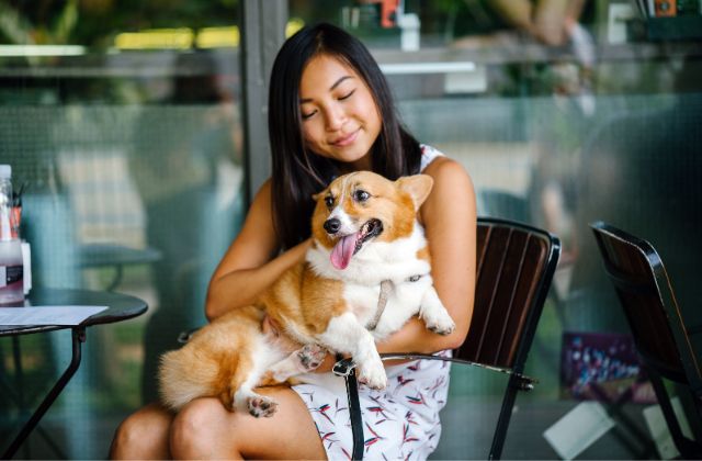 Woman holding a dog in her lap at a restaurant table.
