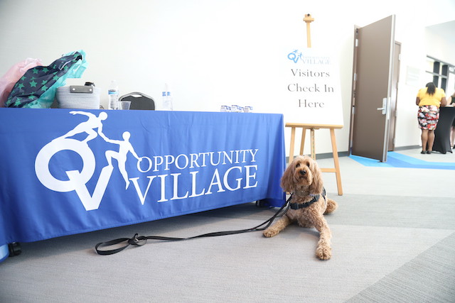 service dog sitting in front of a table with a blue cloth on it that reads "opportunity village'