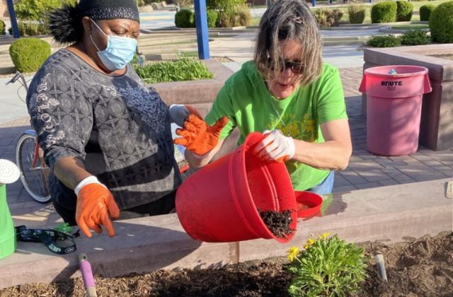 two women planting flowers in a flower bed