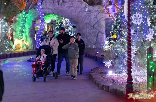a family at a holiday lights display